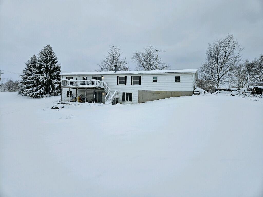 319 2nd Street Blanchard, MI 49310 - Photo 11 of 11 Outside 2
