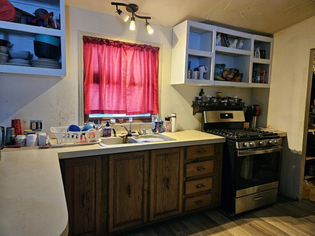 319 2nd Street Blanchard, MI 49310 - Photo 3 of 11 Kitchen 3