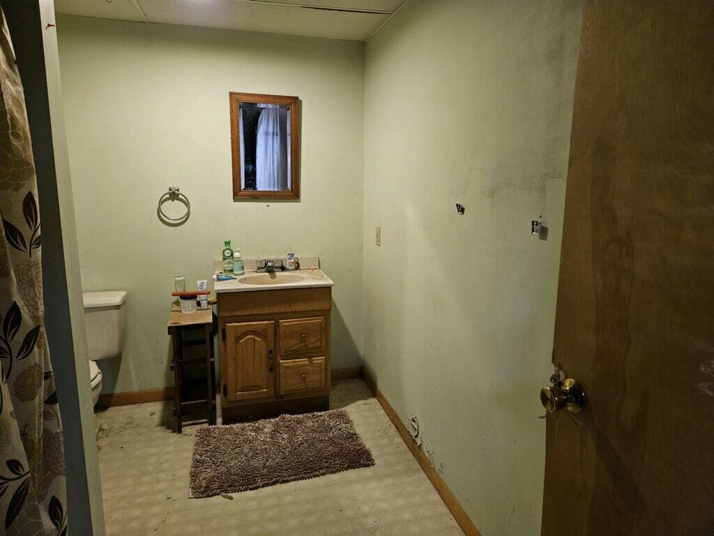 319 2nd Street Blanchard, MI 49310 - Photo 8 of 11 Bathroom