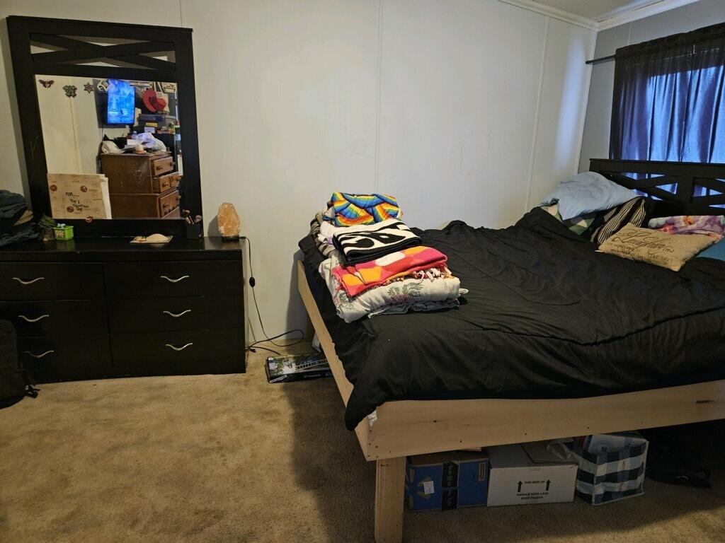 319 2nd Street Blanchard, MI 49310 - Photo 10 of 11 Bedroom 2