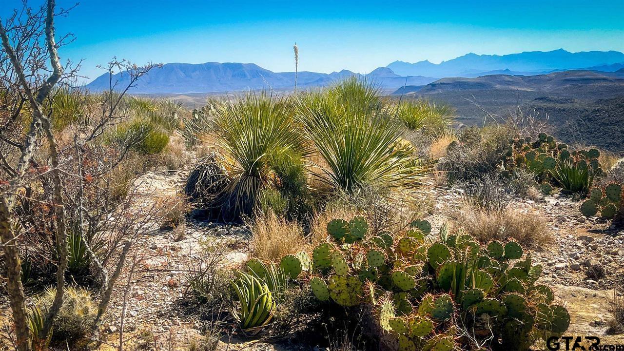 21419 Garnet Alpine, TX 79830 - Photo 7 of 11 a view of a city