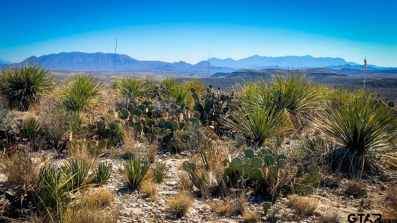 21419 Garnet Alpine, TX 79830 - Photo 9 of 11 a view of a city with mountain in the background