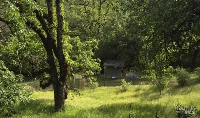 a backyard of a house with lots of green space