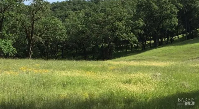a view of outdoor space and yard