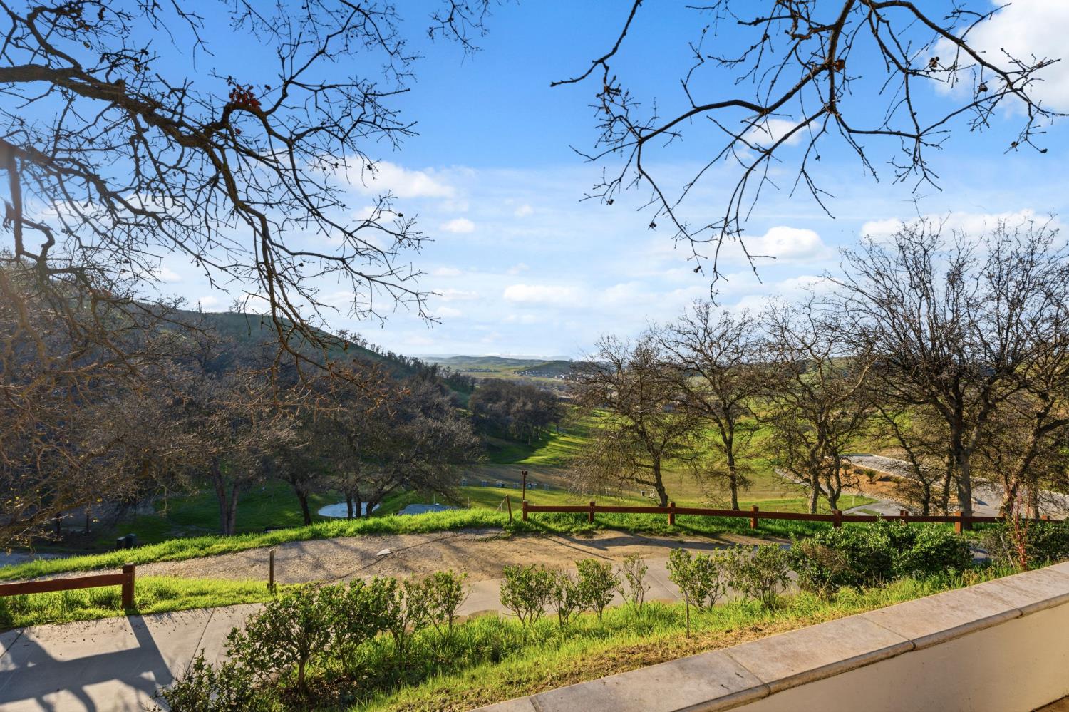 22221 Masters Drive Friant, CA 93626 - Photo 73 of 87 a view of a yard with an tree