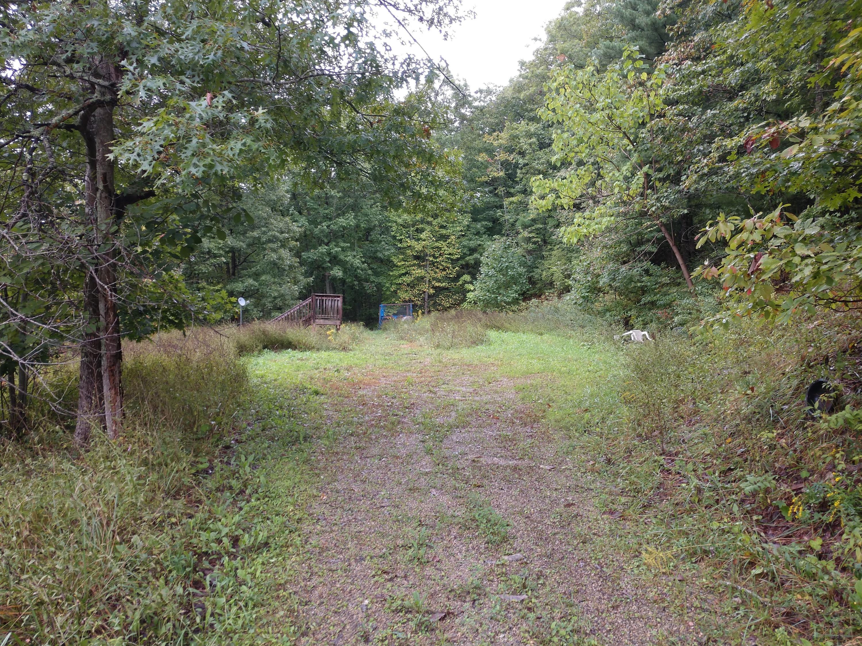 1090 Lexington Lane Riner, VA 24149 - Photo 1 of 12 a view of a forest with trees in the background