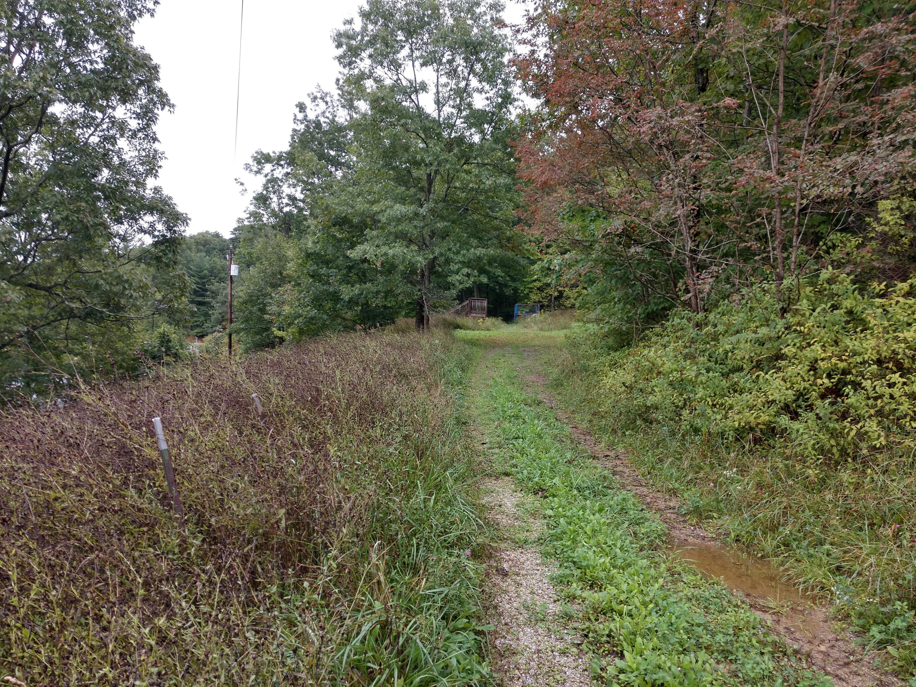 1090 Lexington Lane Riner, VA 24149 - Photo 3 of 12 a view of a yard with a tree