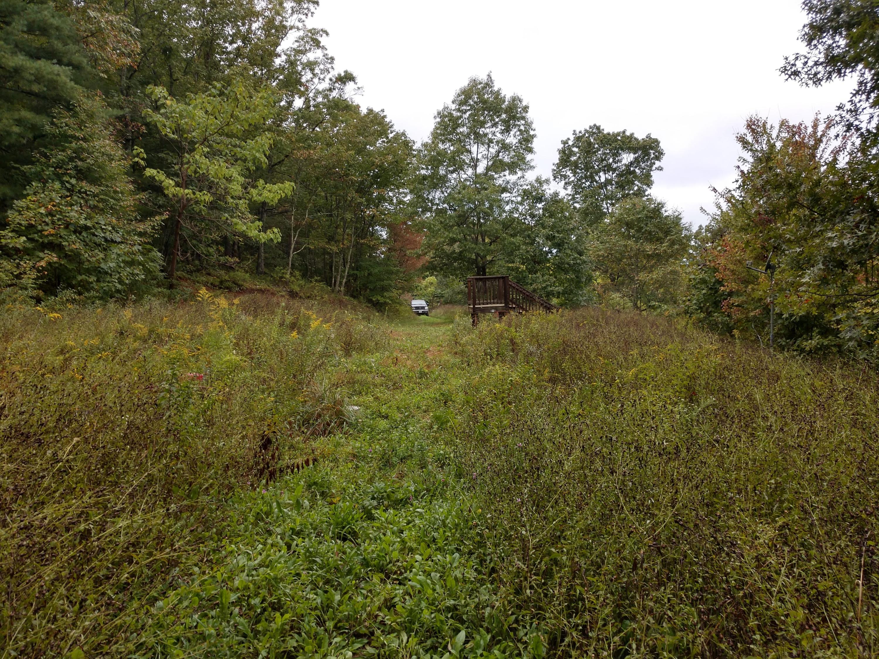 1090 Lexington Lane Riner, VA 24149 - Photo 7 of 12 a view of a field of grass and trees