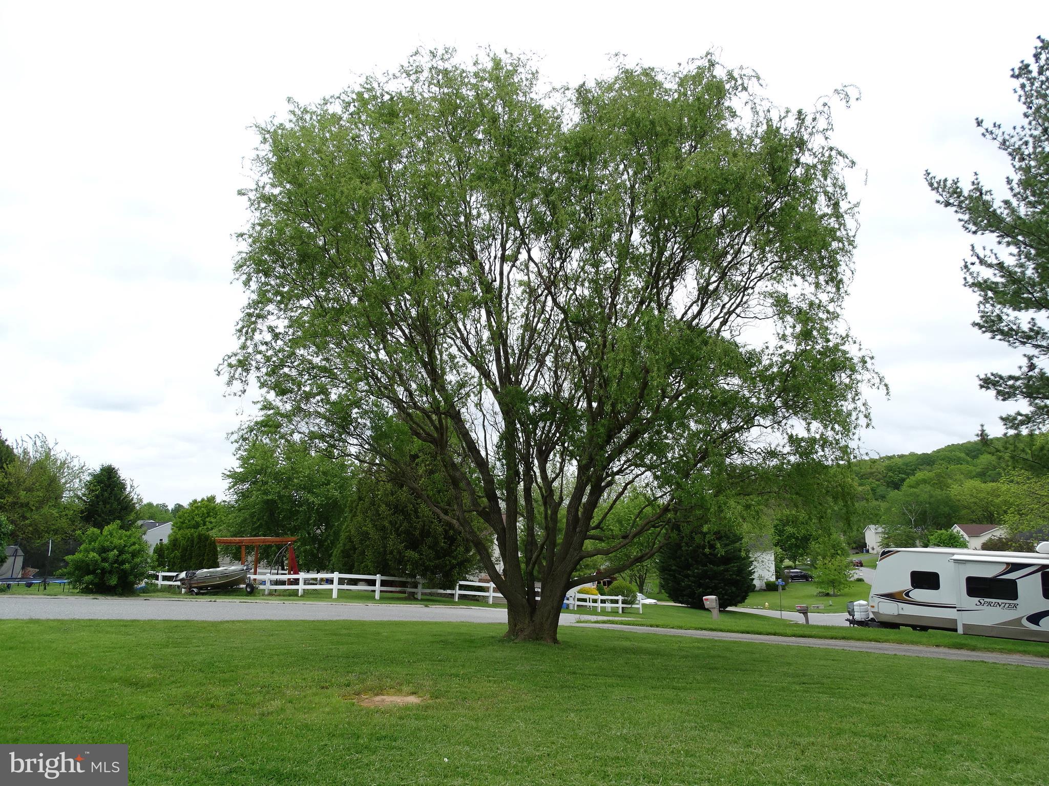 1923 Powder Mill Road York, PA 17402 - Photo 6 of 30