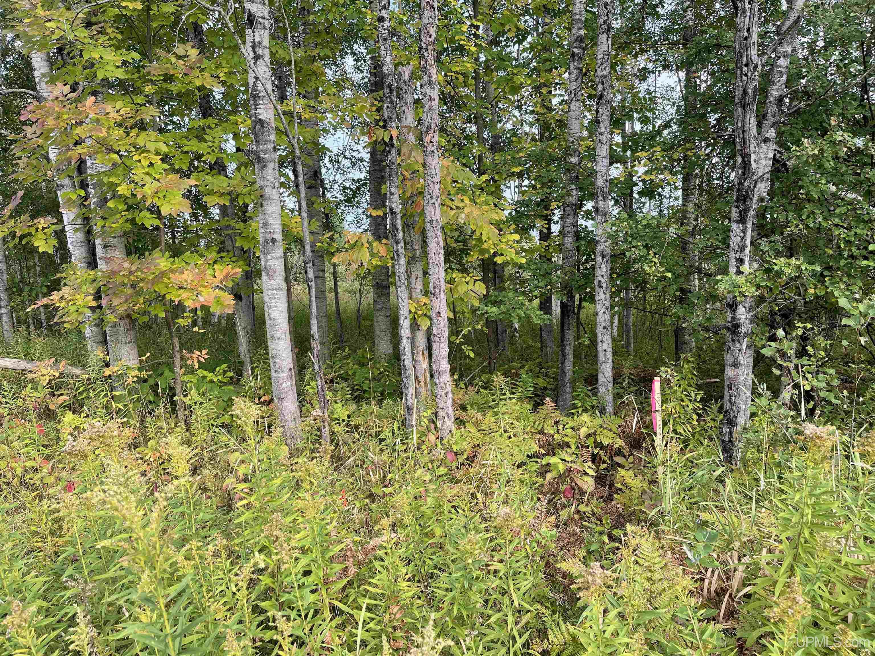 Lot B Cadeau Road Baraga, MI 49908 - Photo 7 of 9 Gallery Image 7