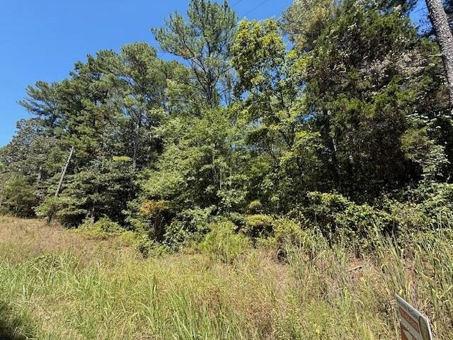 0 Track 2 Kendrick/gin Road Michie, TN 38357 - Photo 3 of 9 Gallery Image 3