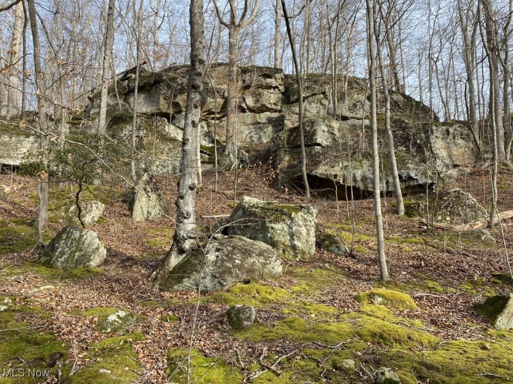 88 Ivy Road Walton, WV 25286 - Photo 18 of 37