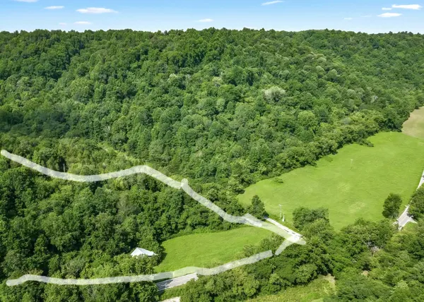 a view of a green yard with a tree