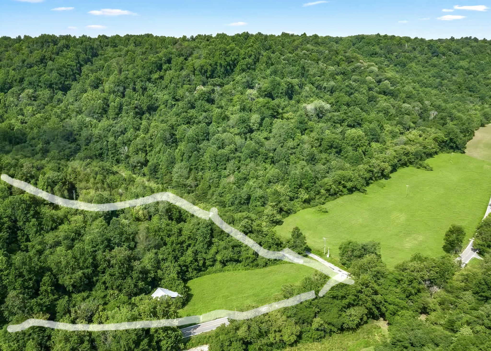 0 Big Hill Road Liberty, TN 37095 - Photo 13 of 14 a view of a green yard with a tree