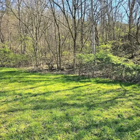 a view of a yard with a tree