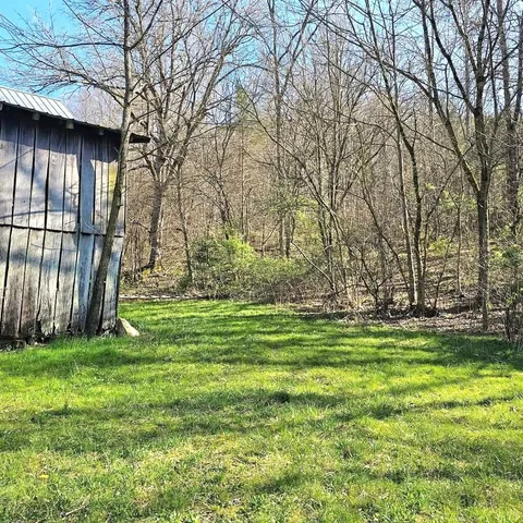 a backyard of a house with lots of green space