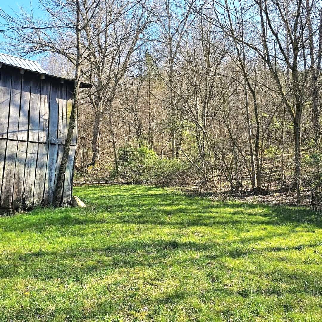 0 Big Hill Road Liberty, TN 37095 - Photo 7 of 14 a backyard of a house with lots of green space