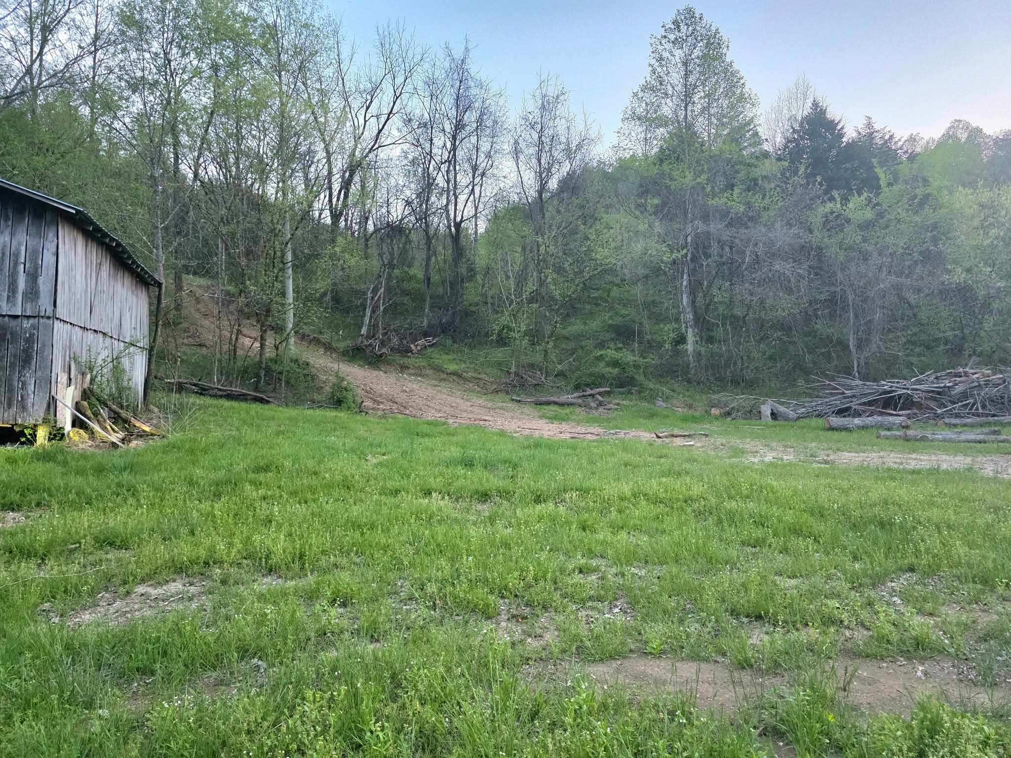 0 Big Hill Road Liberty, TN 37095 - Photo 9 of 14 a view of a backyard