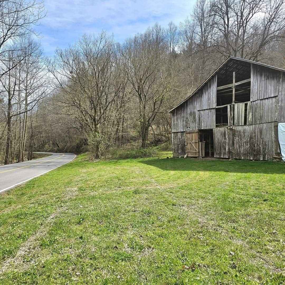 0 Big Hill Road Liberty, TN 37095 - Photo 10 of 14 a view of a backyard with a large tree