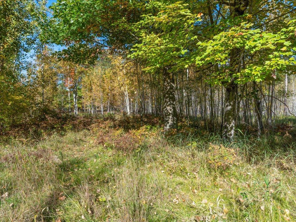 L1-b4 L1-b4 Drahos Road Brainerd, MN 56401 - Photo 9 of 21 Gallery Image 9