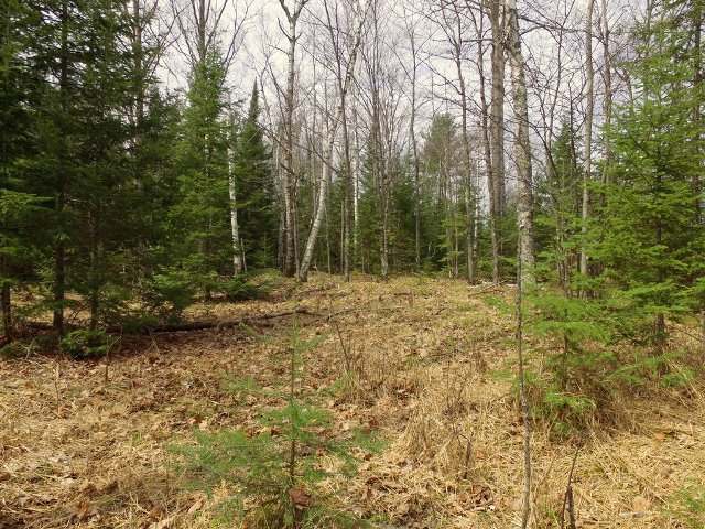 Near Near Cth J Mercer, WI 54547 - Photo 7 of 16 Gallery Image 7