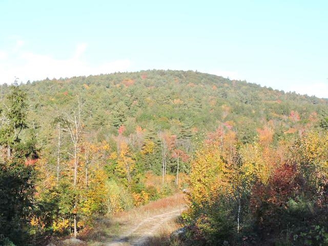 1-124 Freeman Colby Road, Unit 124 Henniker, NH 03242 - Photo 1 of 16 Gallery Image 1