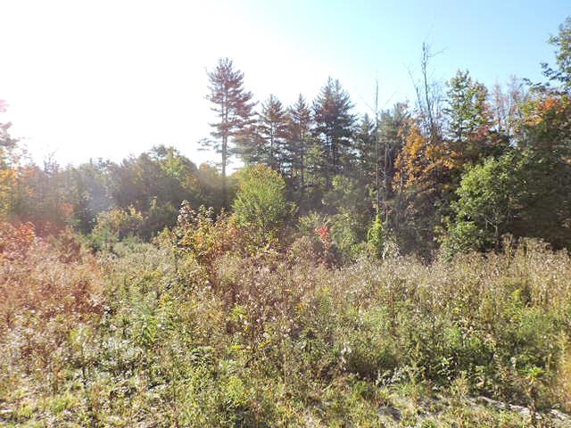 1-124 Freeman Colby Road, Unit 124 Henniker, NH 03242 - Photo 11 of 16 Gallery Image 11