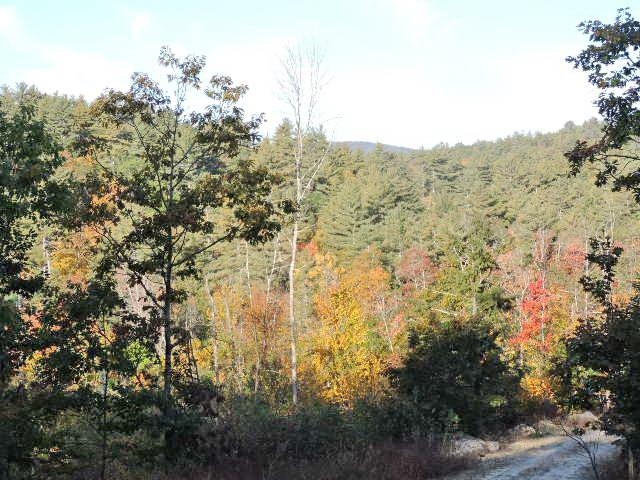 1-124 Freeman Colby Road, Unit 124 Henniker, NH 03242 - Photo 2 of 16 Gallery Image 2