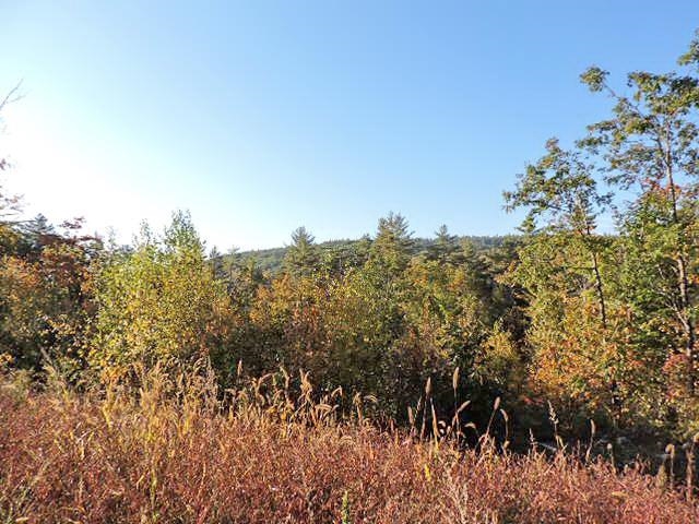 1-124 Freeman Colby Road, Unit 124 Henniker, NH 03242 - Photo 3 of 16 Gallery Image 3
