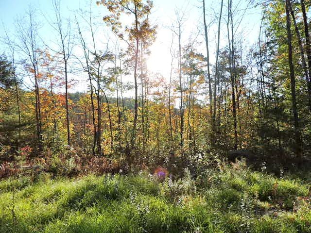 1-124 Freeman Colby Road, Unit 124 Henniker, NH 03242 - Photo 10 of 16 Gallery Image 10