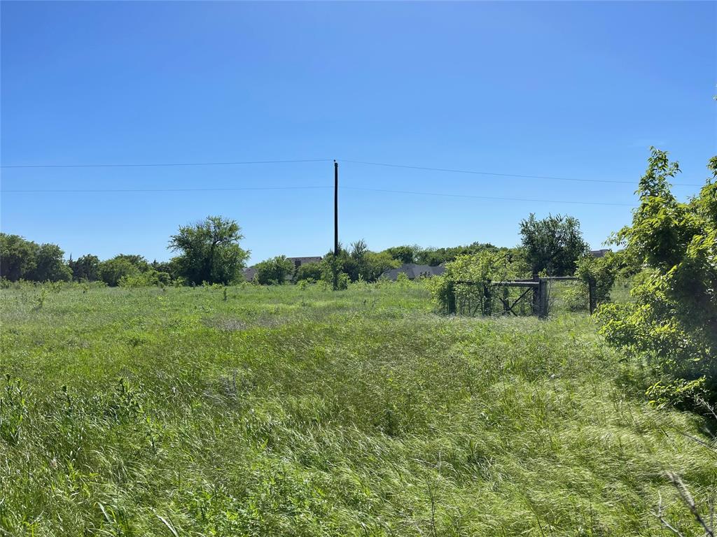 0 Mc Alpin Road Midlothian, TX 76065 - Photo 11 of 22 a view of a green field with lots of bushes