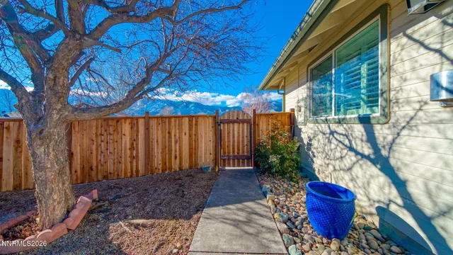 a view of a backyard with potted plants and large tree