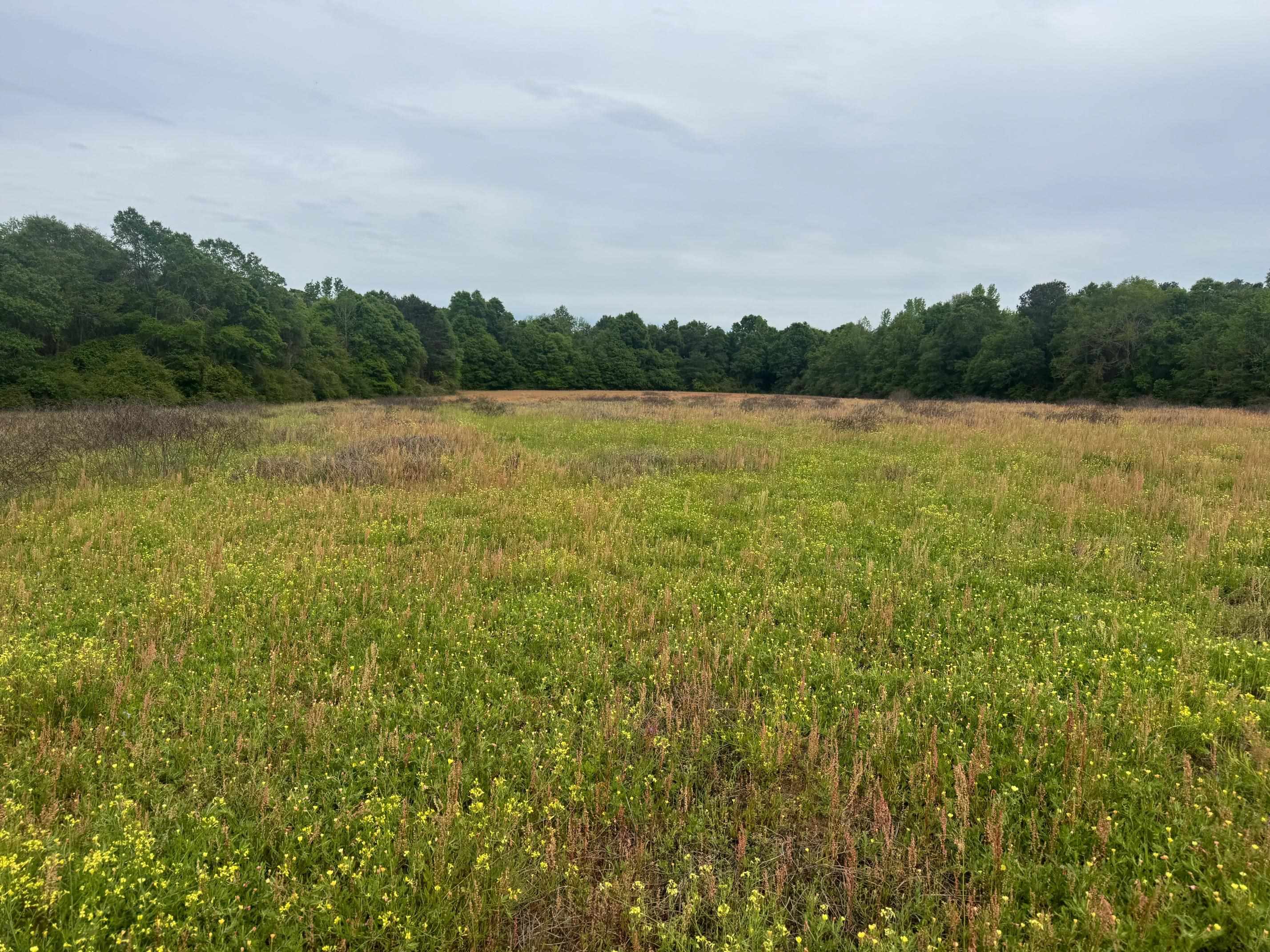 0 Co Road Andalusia, AL 36420 - Photo 23 of 34 Gallery Image 23