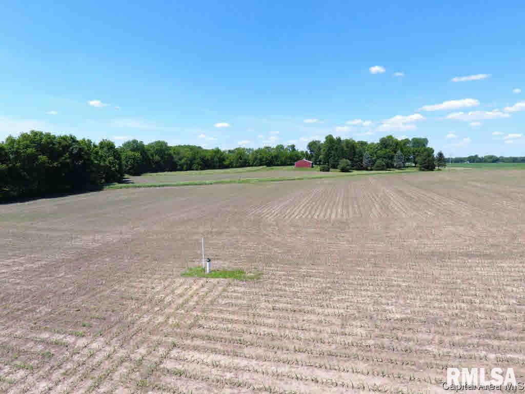 Passfield Rochester, IL 62563 - Photo 3 of 15