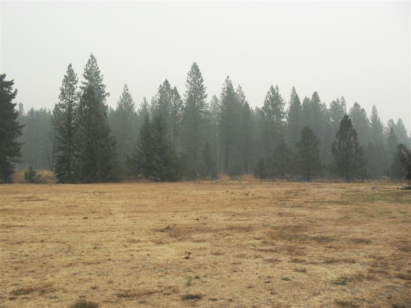 22-lot 2) 22-lot 2) Cedar Creek Road Inchelium, WA 99138 - Photo 3 of 3