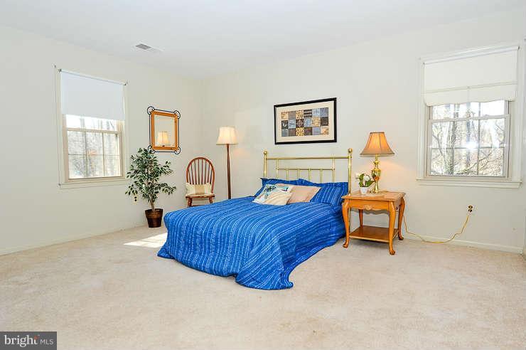 9101 Meadow Rue Lane Annandale, VA 22003 - Photo 14 of 21 Bath (Master)