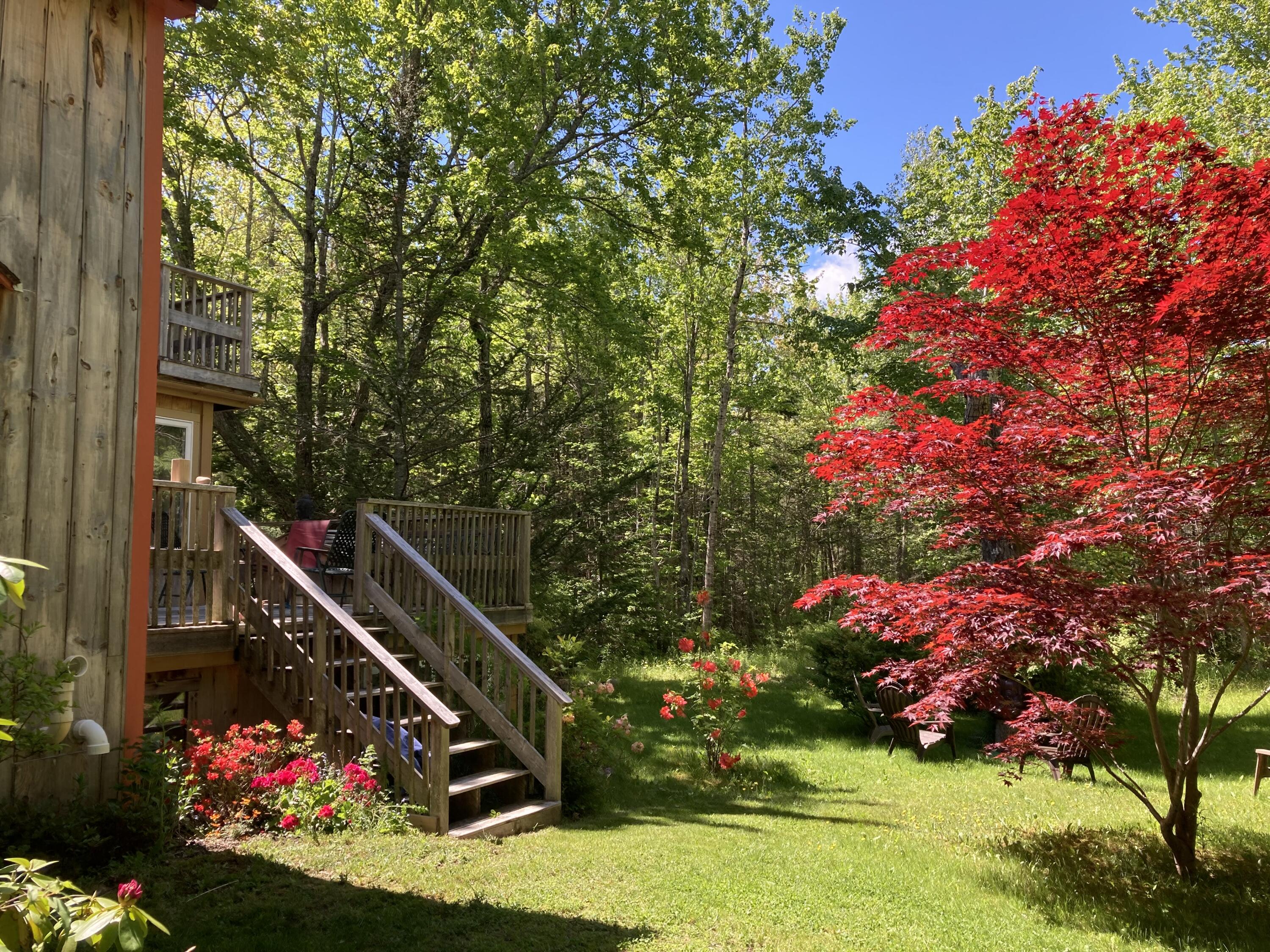 162 Gilbert Farm Road Bar Harbor, ME 04609 - Photo 20 of 21 162 _30