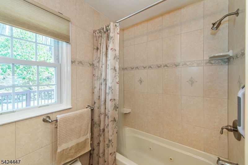 51 Pleasant Hill Road Succasunna, NJ 07876 - Photo 32 of 49