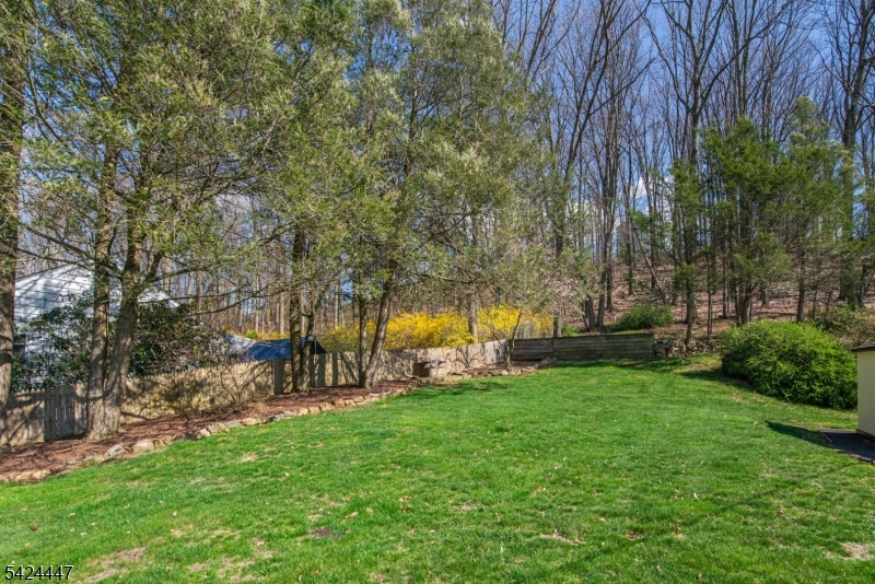 51 Pleasant Hill Road Succasunna, NJ 07876 - Photo 41 of 49