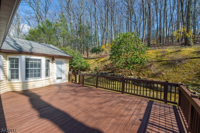 51 Pleasant Hill Road Succasunna, NJ 07876 - Photo 44 of 49