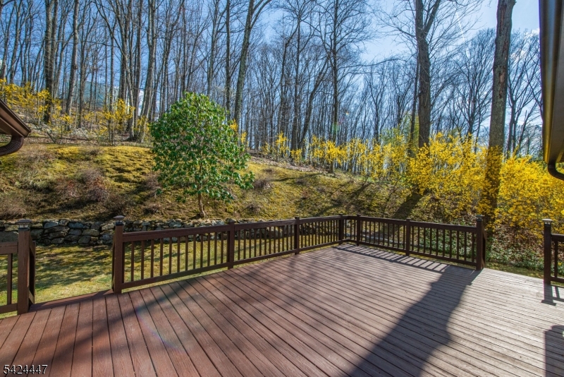 51 Pleasant Hill Road Succasunna, NJ 07876 - Photo 45 of 49