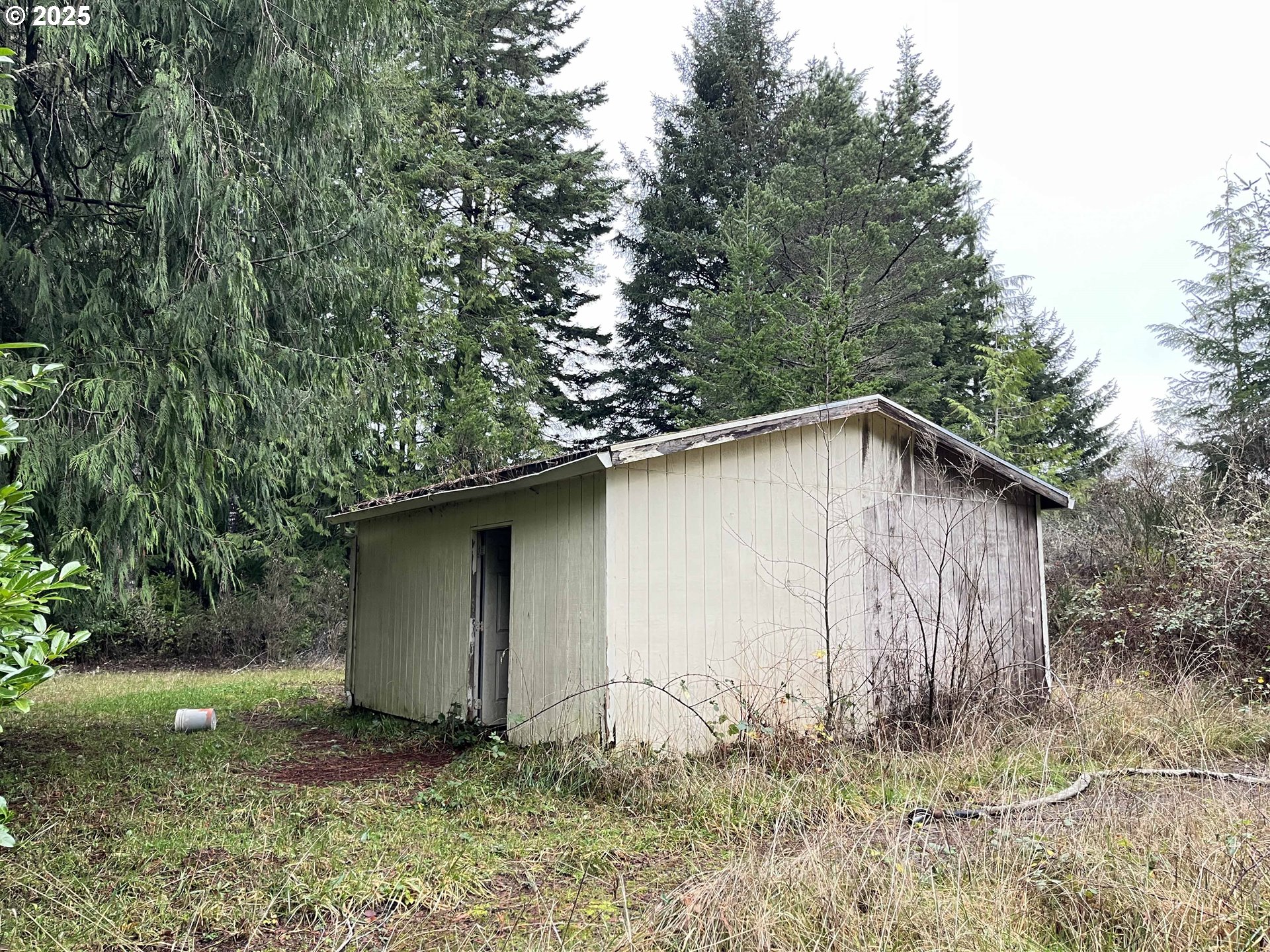 Hemlock Street, Unit TL 2200 Florence, OR 97439 - Photo 13 of 17 a backyard of a house with lots of plants and large trees