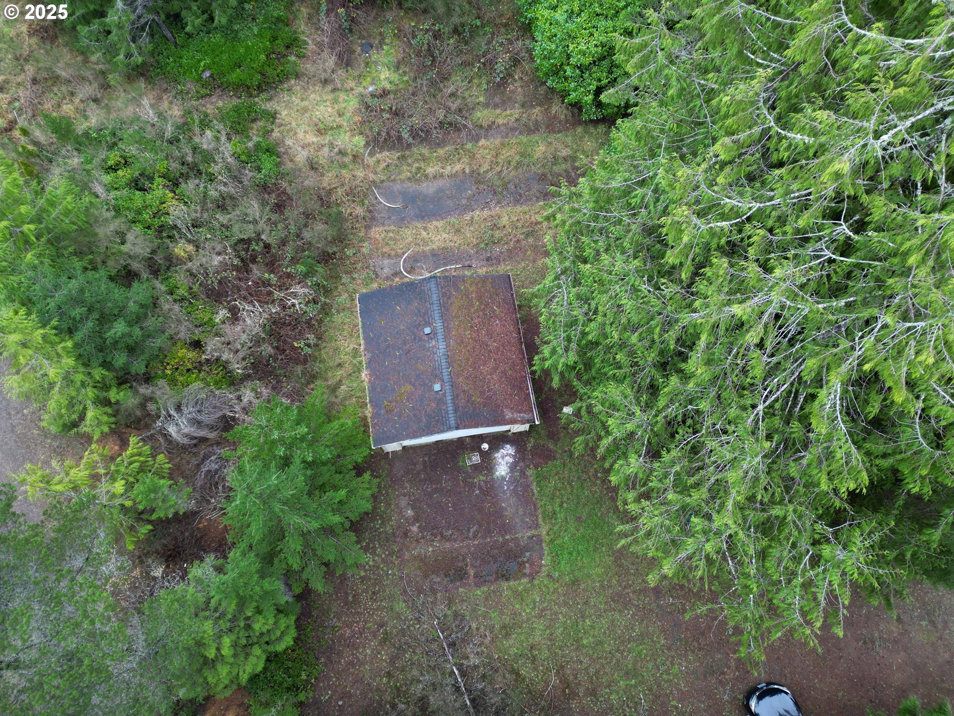 Hemlock Street, Unit TL 2200 Florence, OR 97439 - Photo 3 of 17 an aerial view of a house with a yard and large tree