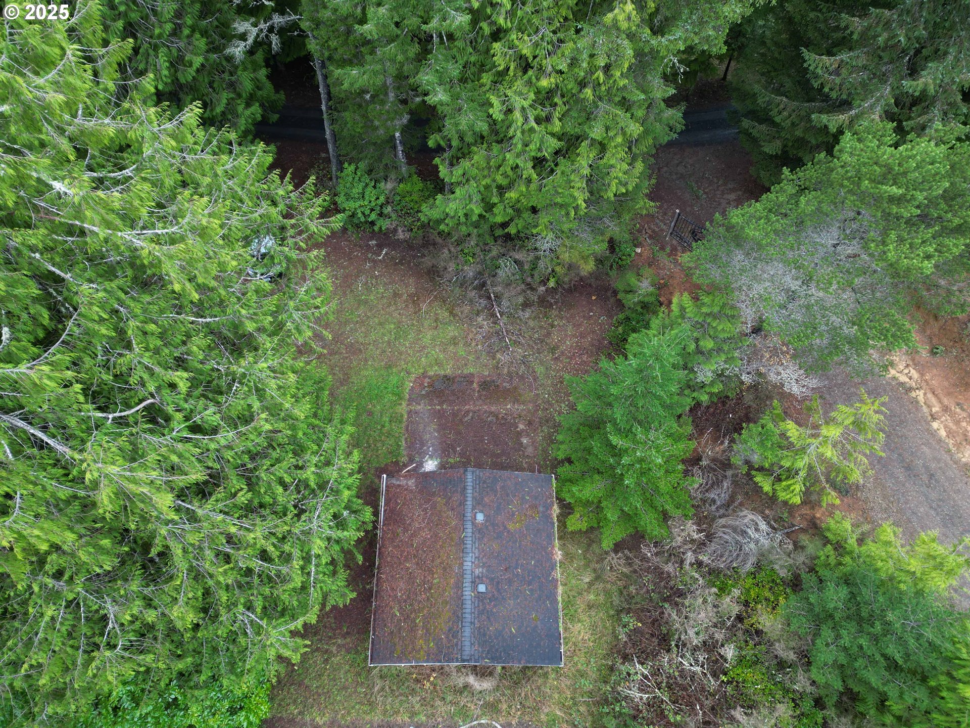 Hemlock Street, Unit TL 2200 Florence, OR 97439 - Photo 7 of 17 an aerial view of a house with a yard and large tree