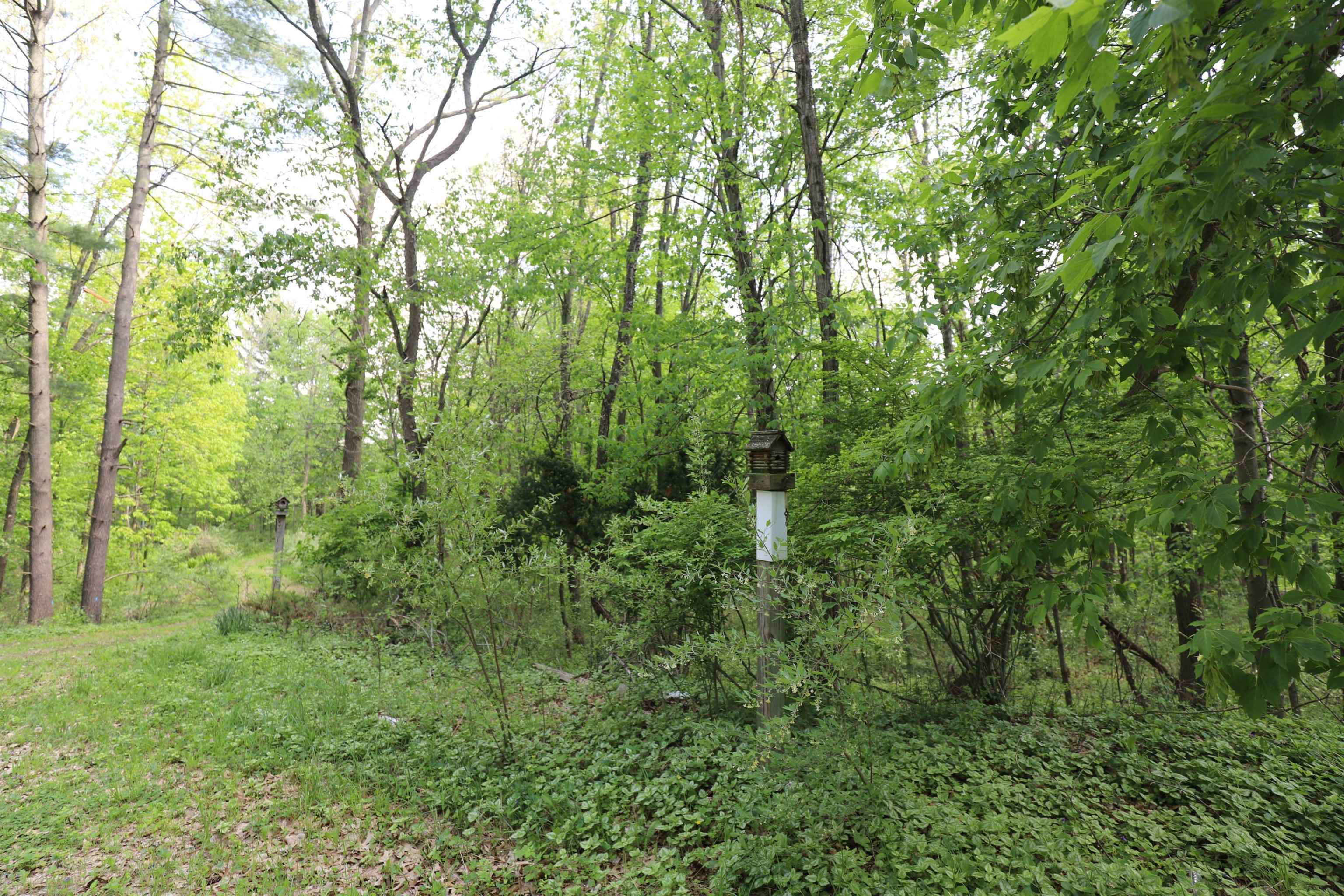 12215 Lillie Road Byron, MI 48418 - Photo 35 of 38