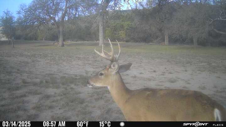 2242 Patterson Creek Road Leakey, TX 78873 - Photo 60 of 72 Gallery Image 60
