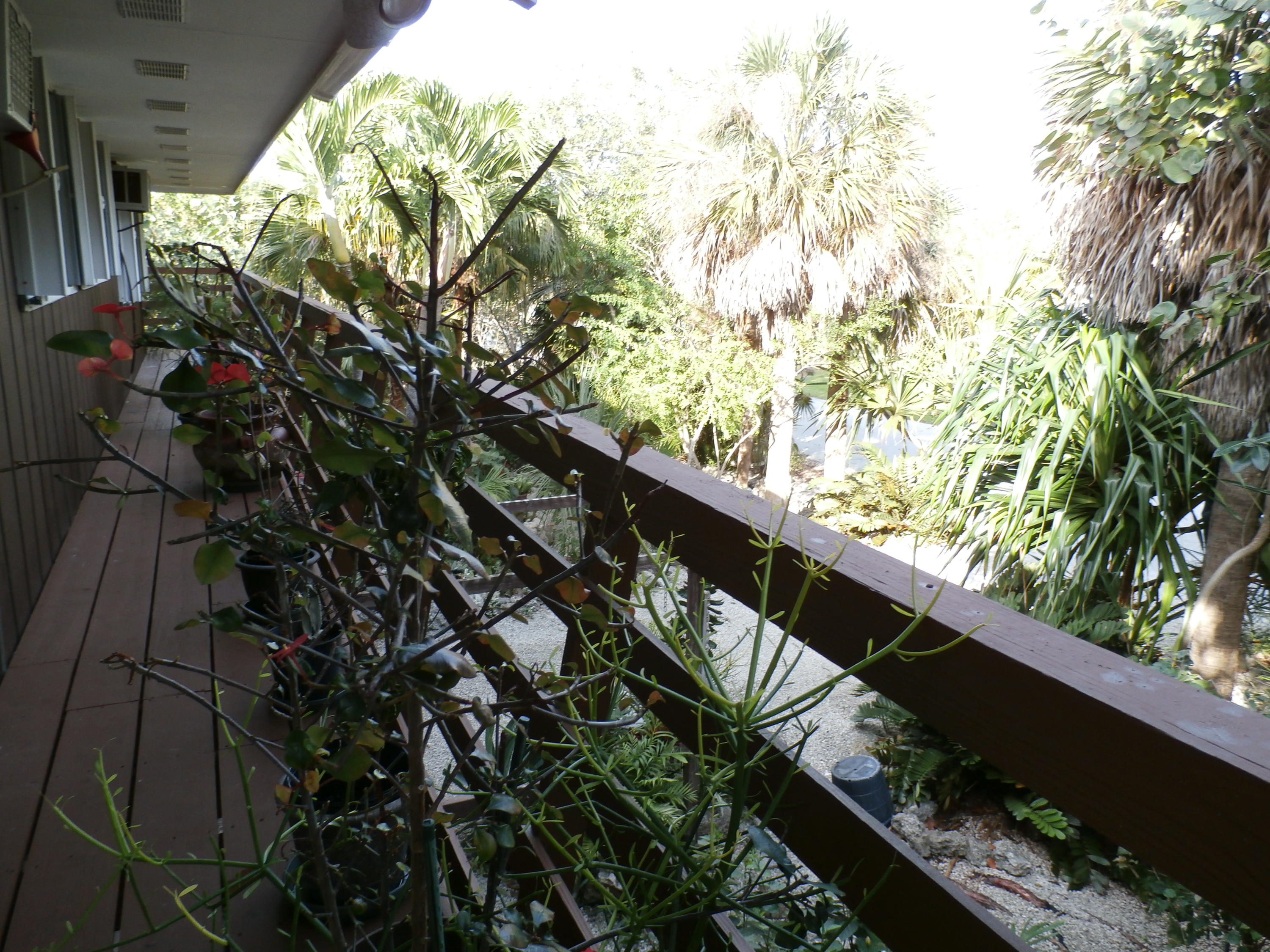 3824 Donna Road Big Pine Key, FL 33043 - Photo 2 of 14 Walk Around w/ Plants