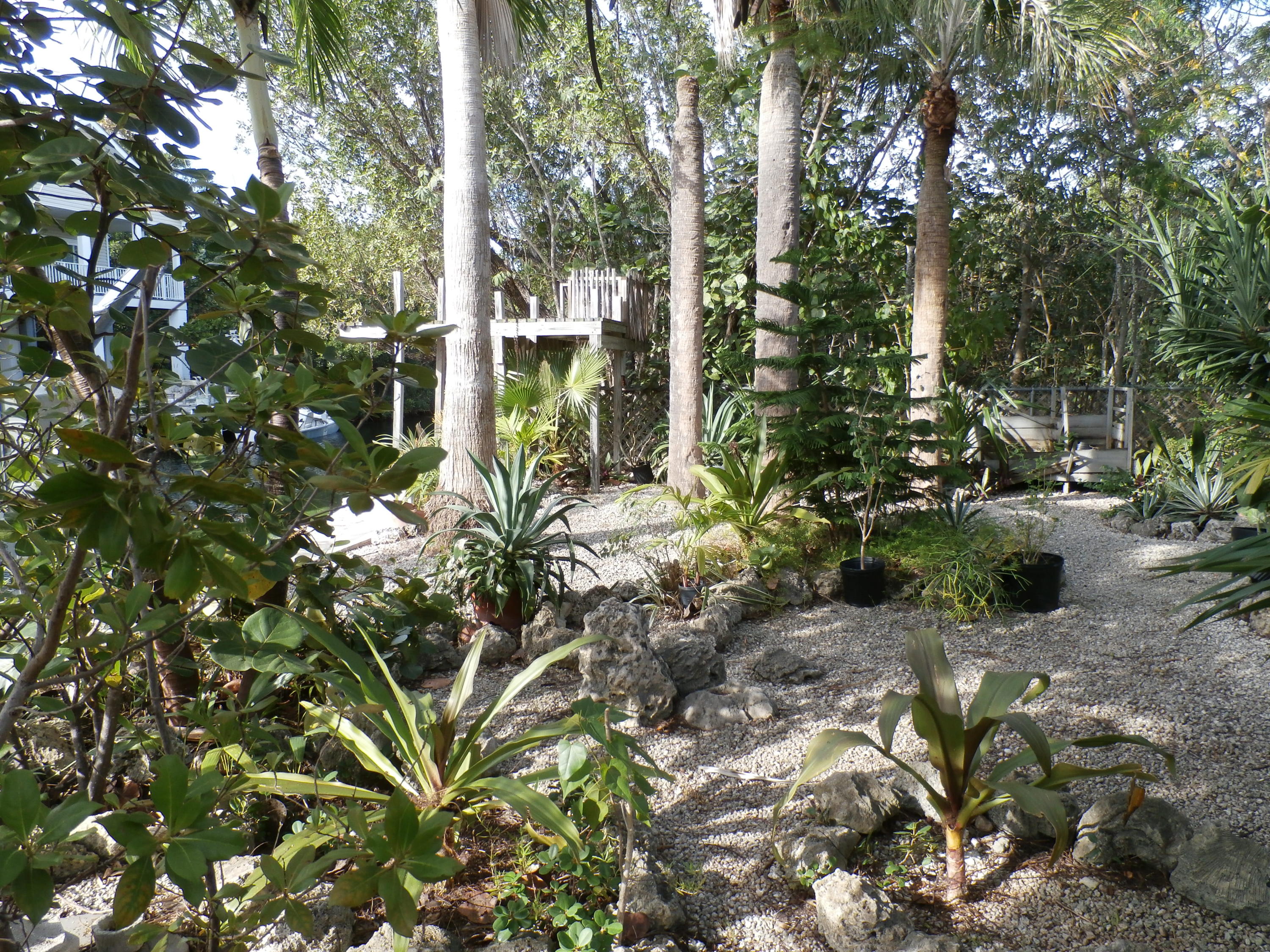3824 Donna Road Big Pine Key, FL 33043 - Photo 6 of 14 Concrete Dock area