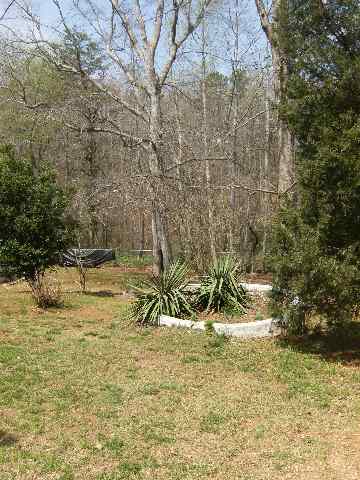 655 Pistol Club Road Easley, SC 29640 - Photo 12 of 17