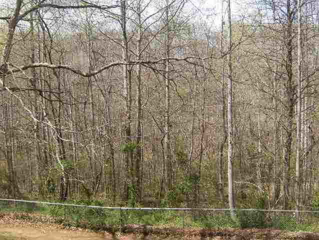 655 Pistol Club Road Easley, SC 29640 - Photo 15 of 17
